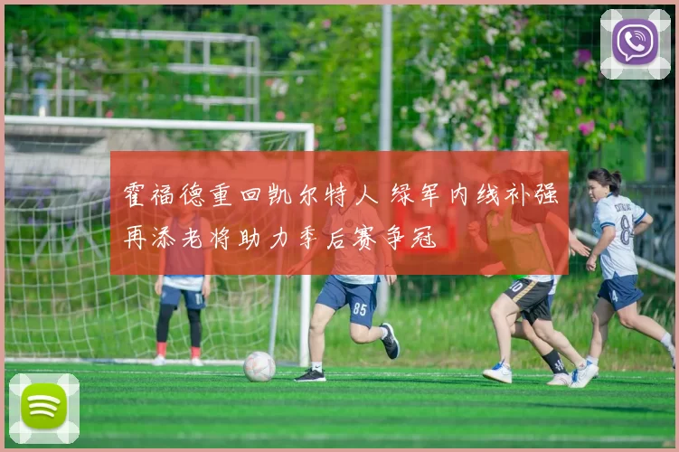 霍福德重回凯尔特人 绿军内线补强再添老将助力季后赛争冠