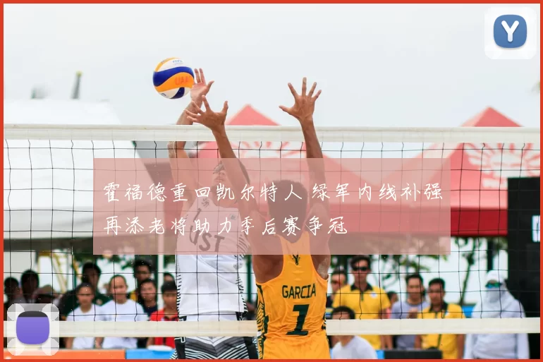 霍福德重回凯尔特人 绿军内线补强再添老将助力季后赛争冠