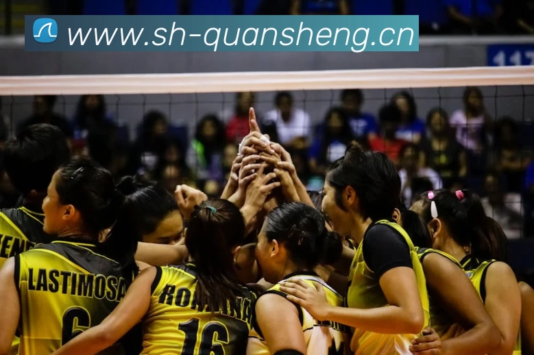 多媒体互动体验